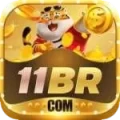 11br - Premium Earning App